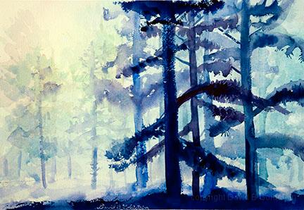 Bluepinessm.jpg - Blue pines on the Yellow mountains