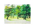 green trees