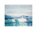 White Boats